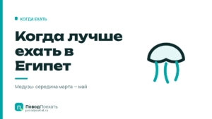 Когда лучше ехать в Египет: у двух курортов разные календари